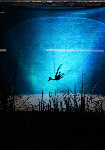 Спектакль «Гадкий утёнок»