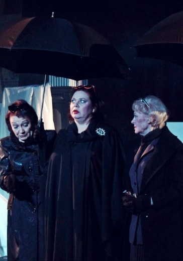 Спектакль «Знойные мамочки» Спектакль «Знойные мамочки»