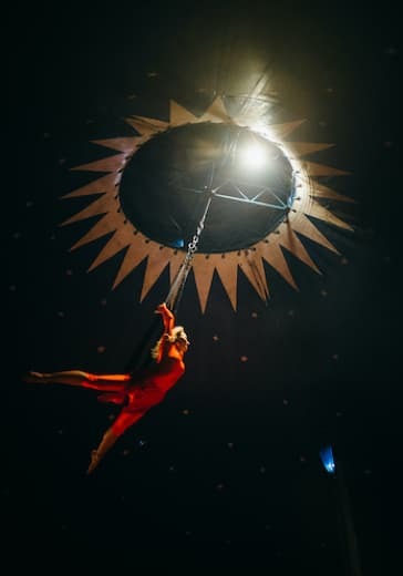 Новогодняя ёлка в цирке logo