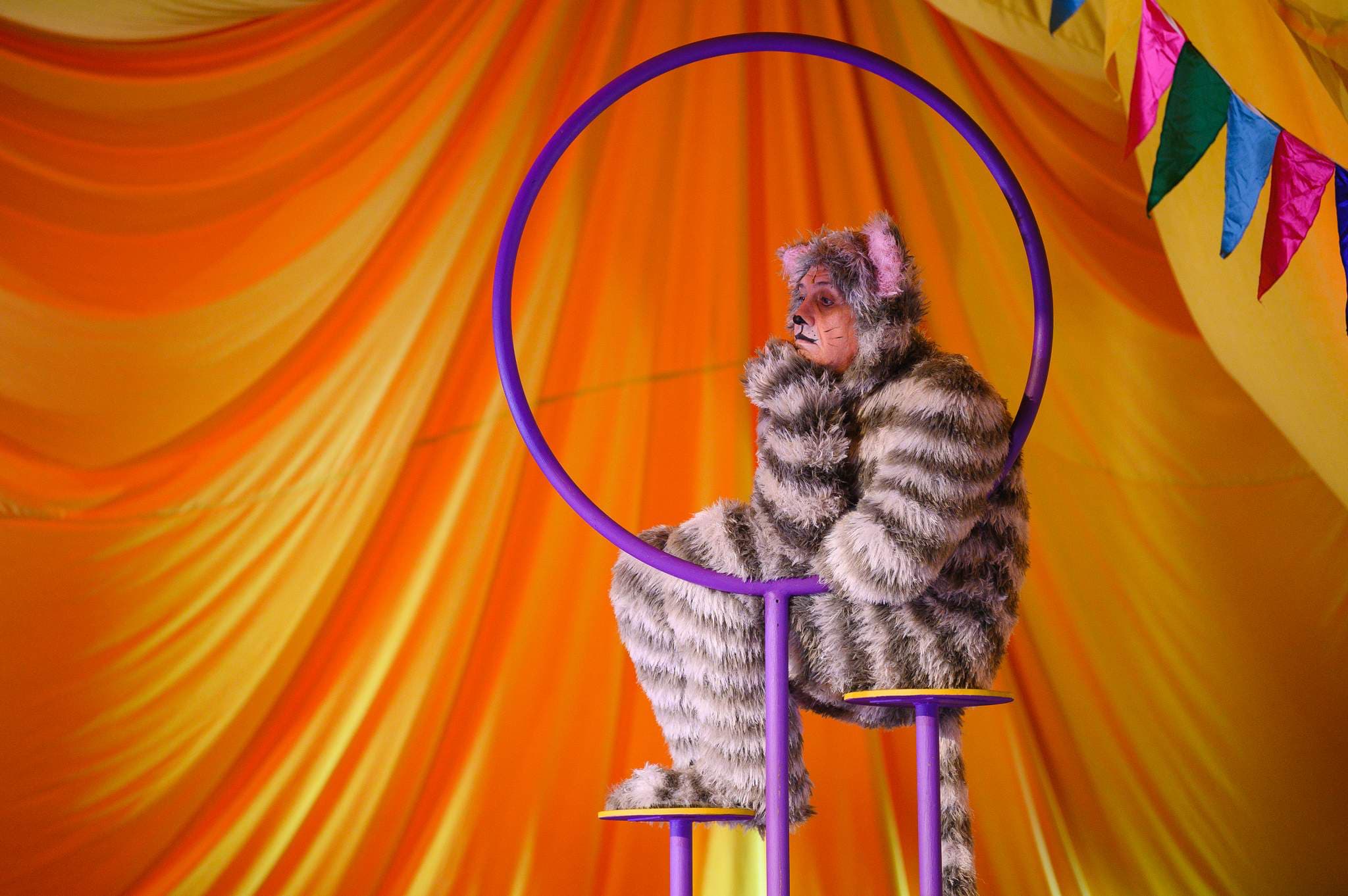 Три плюс кот спектакль