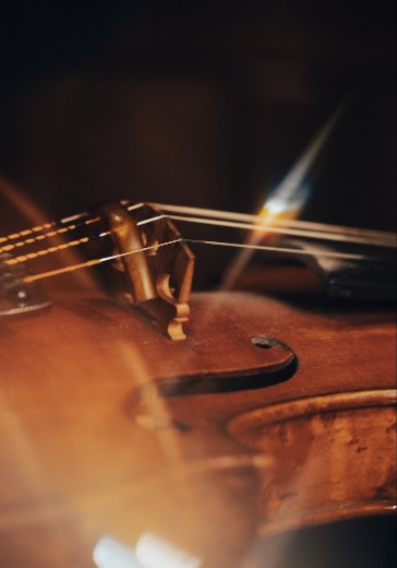 Концерт «Шуберт. Моцарт. Брамс» в Москве: билеты