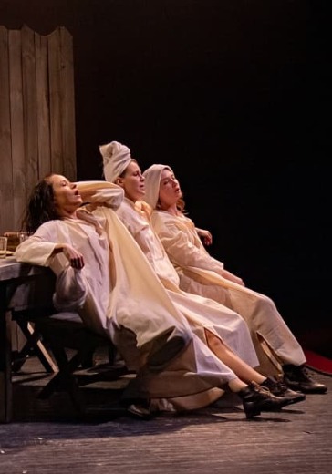 Спектакль «Сестра, подруга и жена» в Ростове-на-Дону: билеты