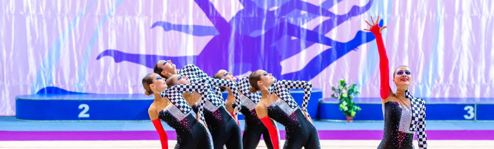Чемпионат Европы по эстетической гимнастике Чемпионат Европы по эстетической гимнастике