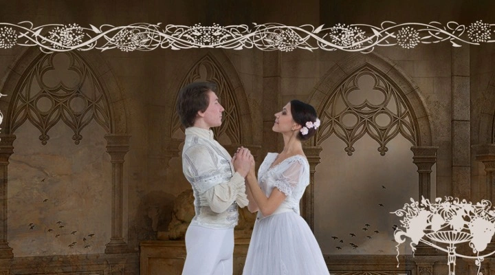 Спящая красавица Спящая красавица