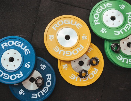 Турнир «NPC Worldwide Invictus PRO Qualifier»