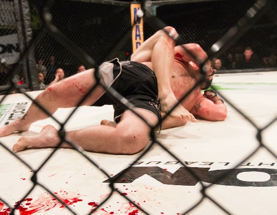 EFC 42: Одилов - Шлеменко