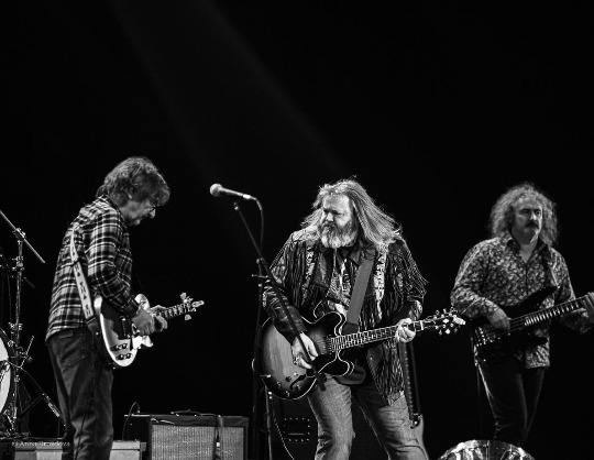 Creedence Clearwater Revived