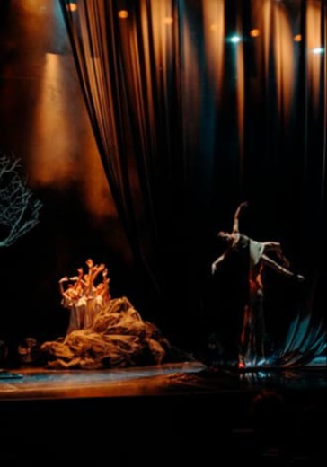 Балет «Медитация»