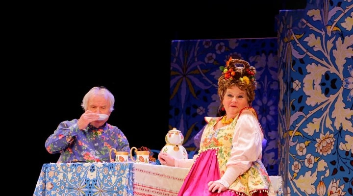 Не в свои сани не садись