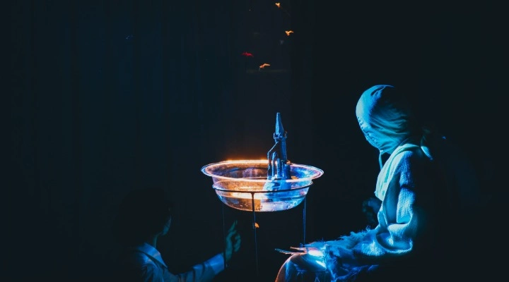 Чайка по имени...