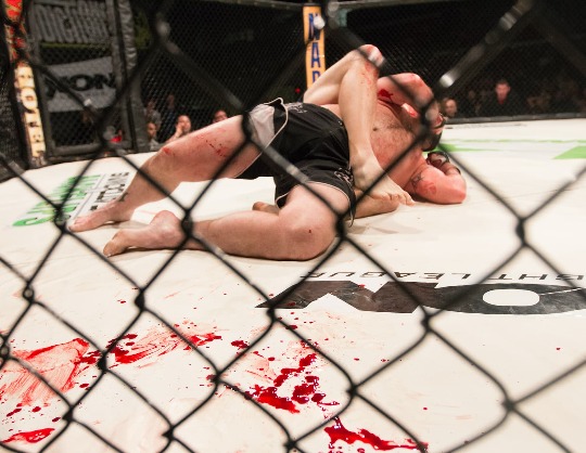 Турнир UFC Fight Night. Херманссон vs Аллен