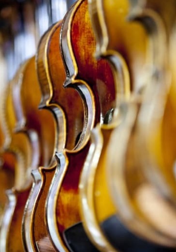 Концерт «Москва – Петушки». П.Майков и Ансамбль «Рапсодия»