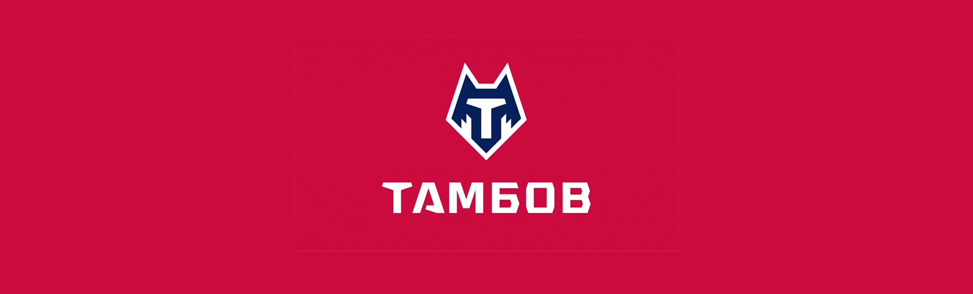 ФК Тамбов ФК Тамбов