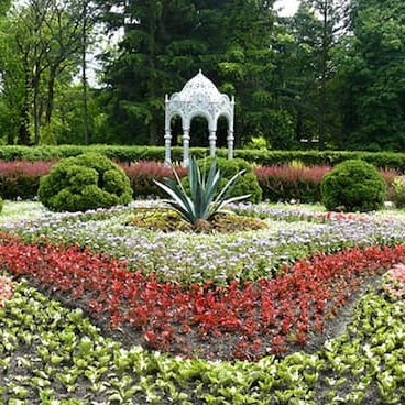 Центральный ботанический сад Национальной академии наук Беларуси 