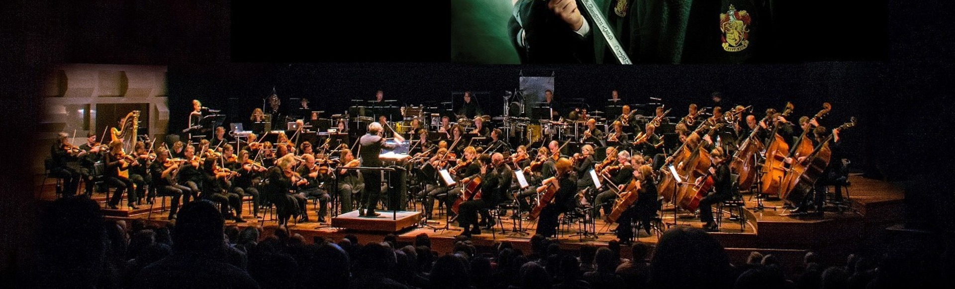 Гарри Поттер. Симфонический саундтрек Гарри Поттер. Симфонический саундтрек