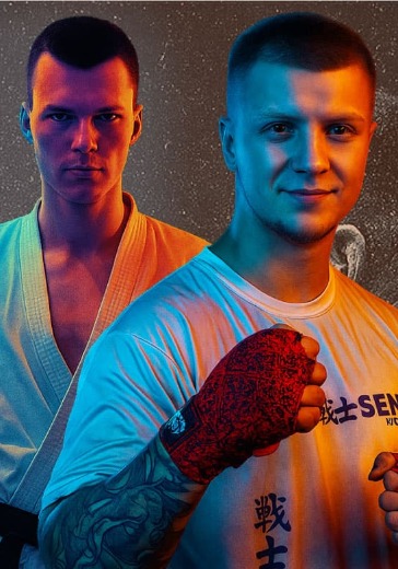 Вечер боёв К-1 «Ультиматум Удара»