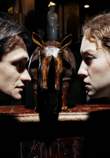 Спектакль «Влюбленный носорог» Спектакль «Влюбленный носорог» в Санкт-Петербурге: билеты