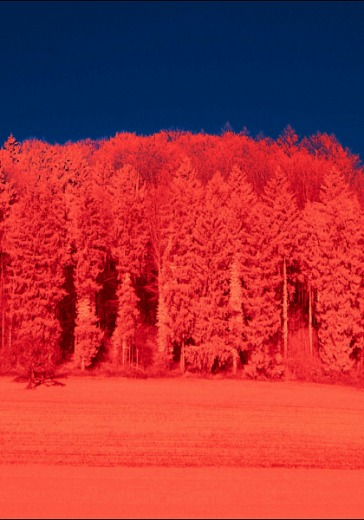 Спектакль «Калина красная» Спектакль «Калина красная» в Москве: билеты