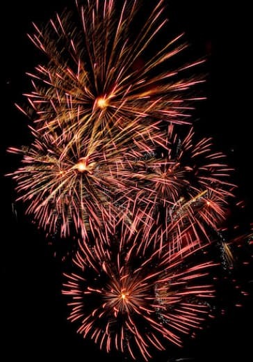 Новогоднее представление «Дядя Фёдор, Пёс и Кот»: билеты в Театр юного зрителя имени А.А. Брянцева