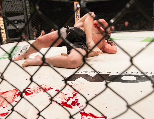 Турнир по смешанным единоборствам Рафаэля Физиева vs Матеуша Гамрота UFC Fight Night