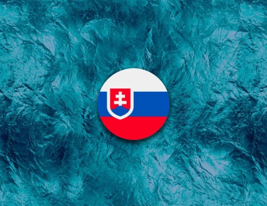 Сборная Словакии по хоккею