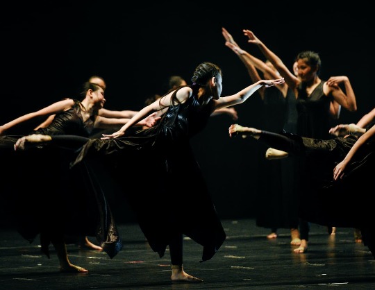 Шоу Pasha Dance Theatre