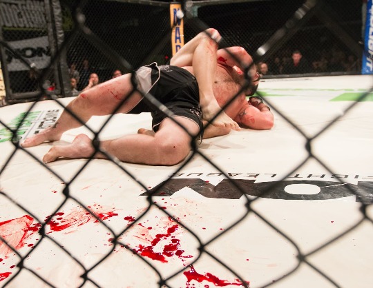 Турнир по смешанным единоборствам Алексой Грассо vs Валентиной Шевченко UFC Fight Night