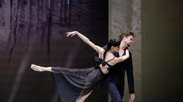 Браво, зрители! Браво, зрители!