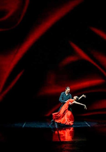 Гала-концерт «Всё о любви...» в Санкт-Петербурге: билеты