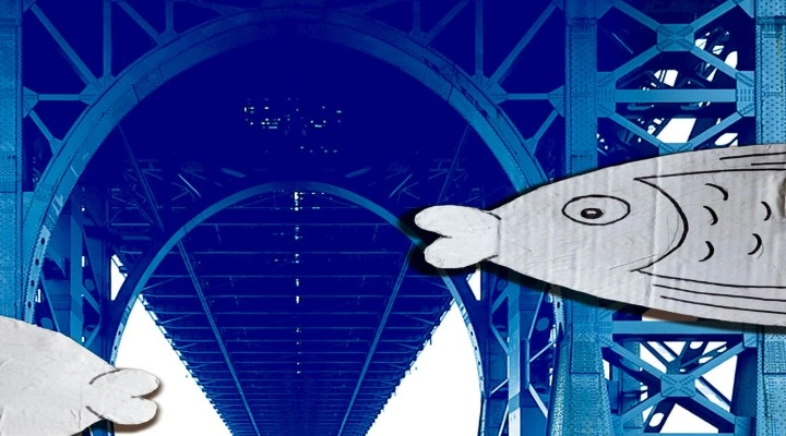 Встретимся под мостом