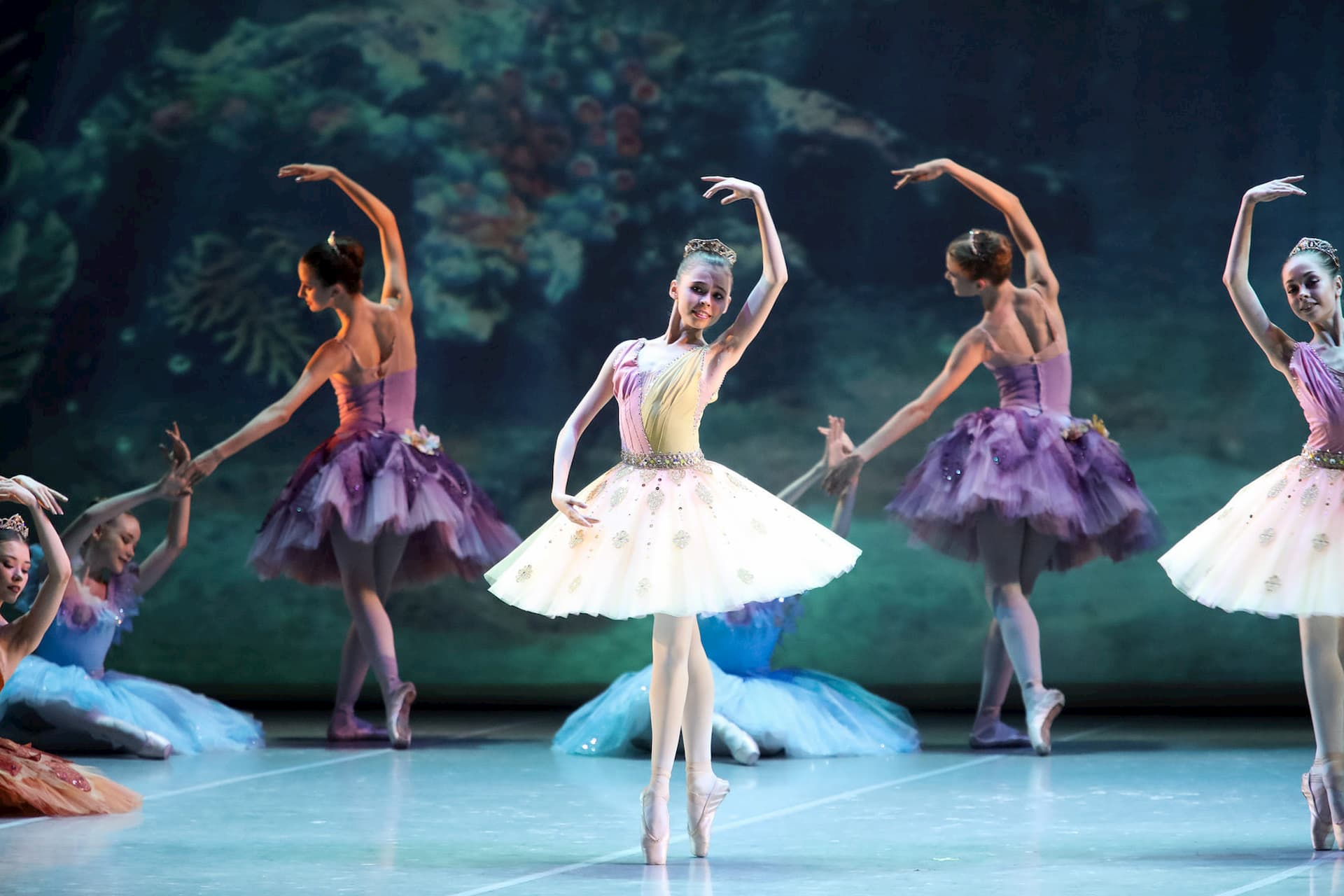 Эрмитажный театр лебединое озеро. Звезды театра и балета. Прима-балерина большого театра 2024. Звезды театра и балета. Большой театр балет.