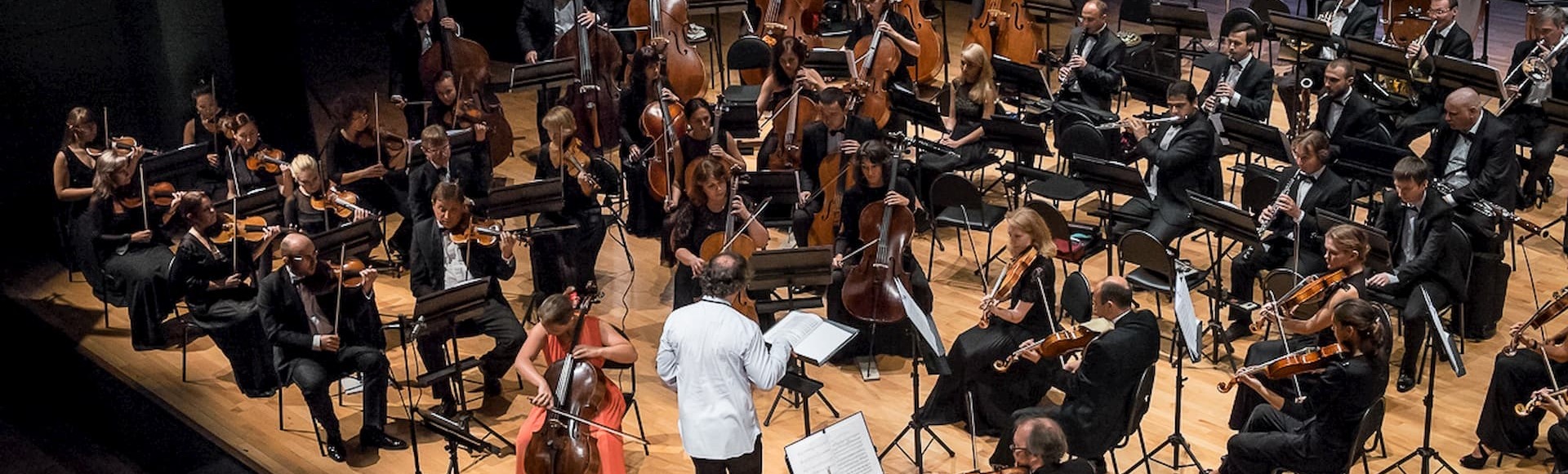 Singolo Orchestra Singolo Orchestra