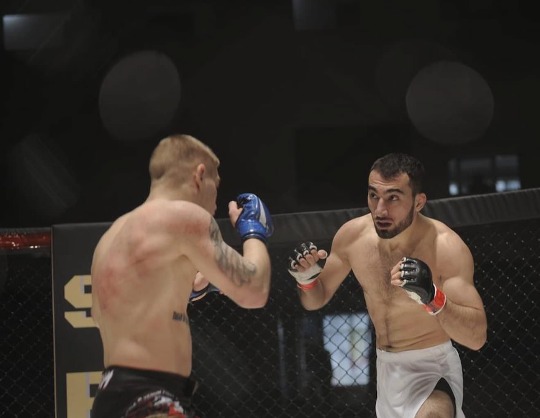 Турнир SFL 54/4: SUMMER SERIES.