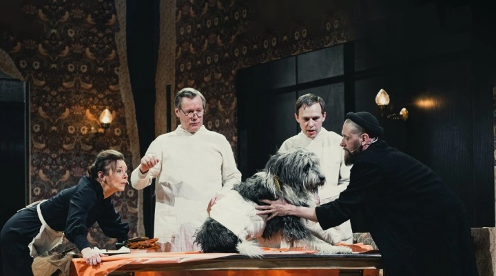 Собачье сердце