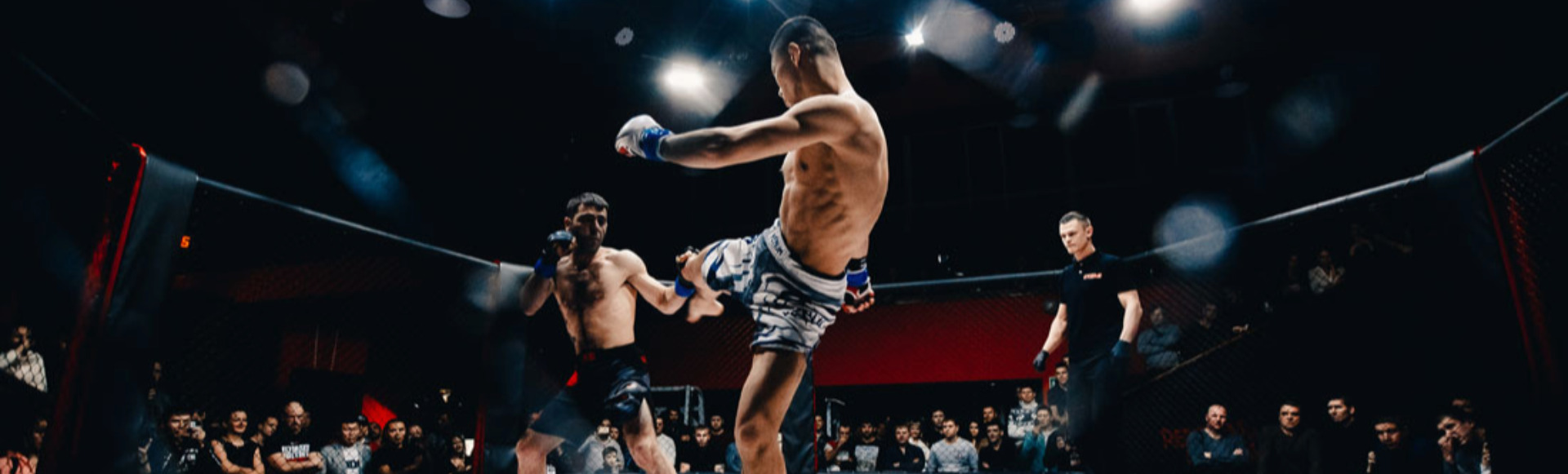 Вечер профессиональных боев MMA UFL Вечер профессиональных боев MMA UFL