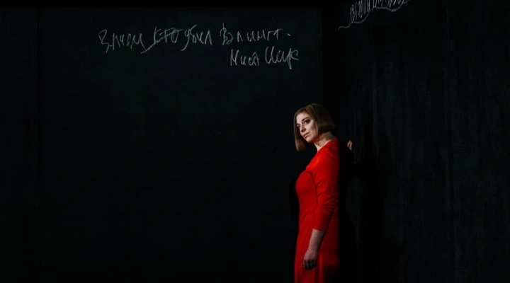 Загадоч ное ночное убийство собаки