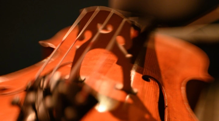 Элгар / Сибелиус