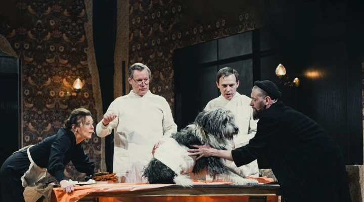 Собачье сердце