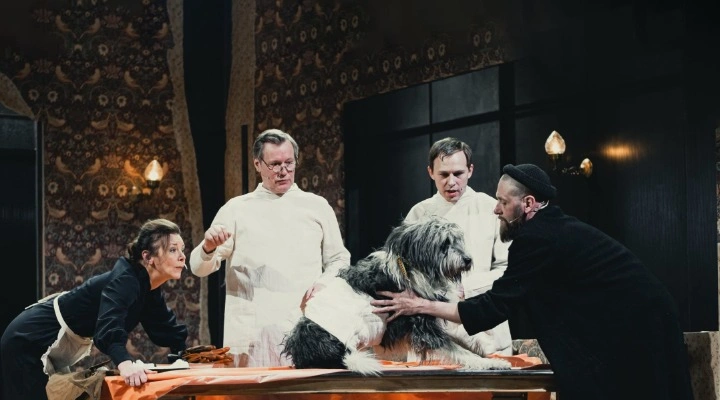 Собачье сердце