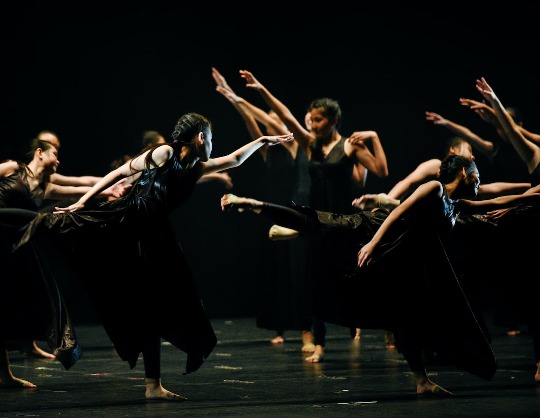 Танцевальное шоу «Rhythm of the Dance»