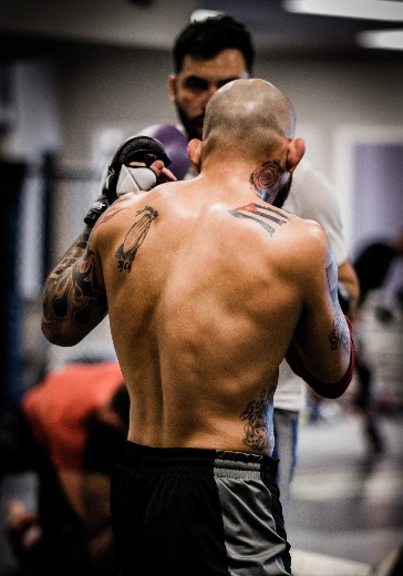 топ дог 40 турнир купить билеты