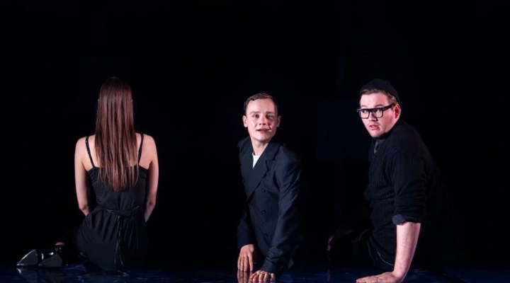 Парадокс скворца