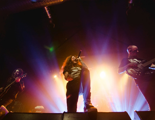 Wild Energy Fest