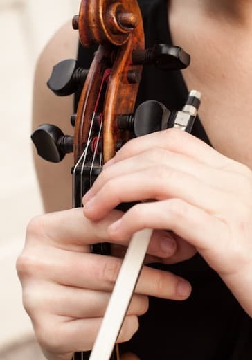 Концерт «Вечер музыки для скрипки и арфы» logo