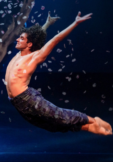 Балет «Мистерия» в Москве: билеты