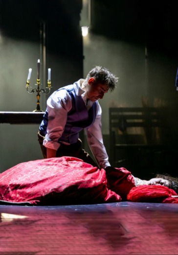 Спектакль «Обыкновенная история» в Санкт-Петербурге: билеты