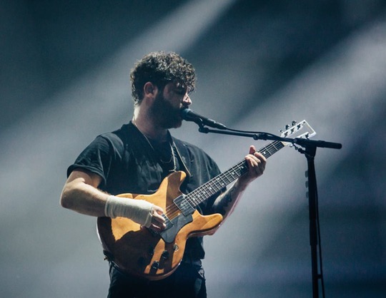 Foals