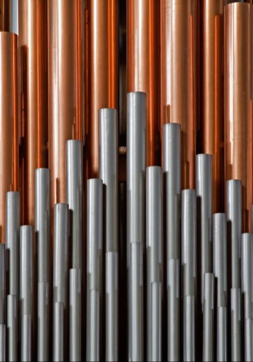 Концерт орган-гала. Вивальди «Времена года» и Карл Орф «Кармина Бурана» в Москве: билеты