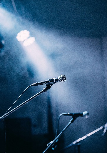 Концерт Елены Ваенги