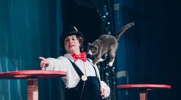 Владимир Куклачев «Волшебные кошки»